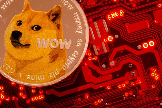 La capitalisation boursi&egrave;re du Dogecoin atteint 12 milliards de dollars dans un contexte de sp&eacute;culation sur X Payments